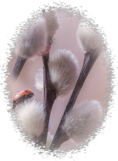 22f3f6b423a8db2e4439b0d4c36fae22