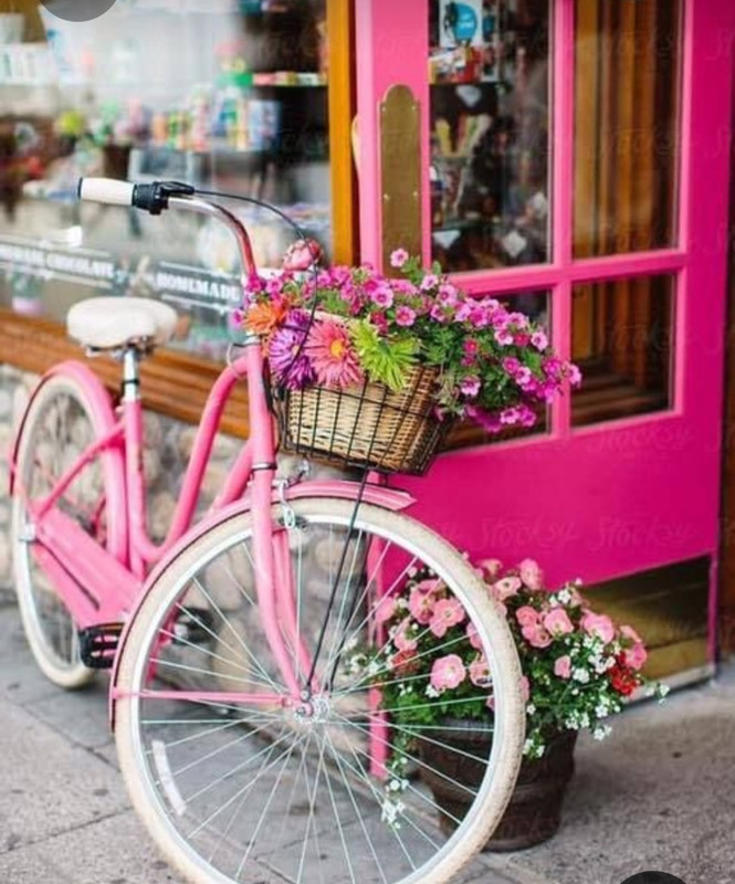 Screenshot_20230401_014522_Pinterest