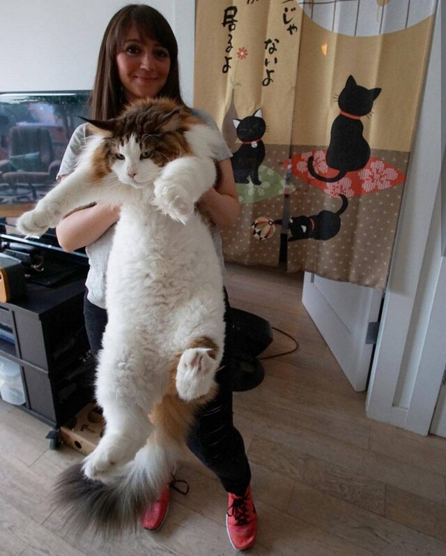 picdump-kw01-2025-012.jpg