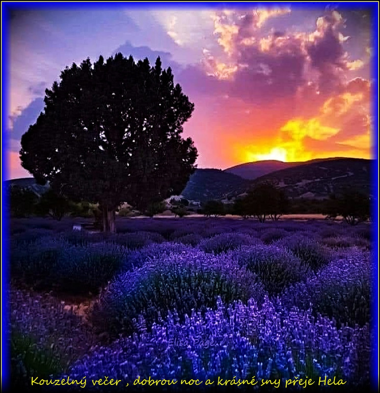 3.8.23vvvečernocúpr