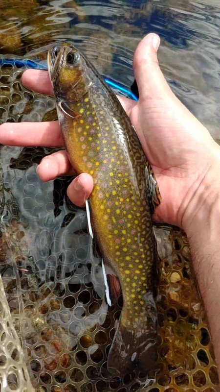 0920241159(1)_exported_1166