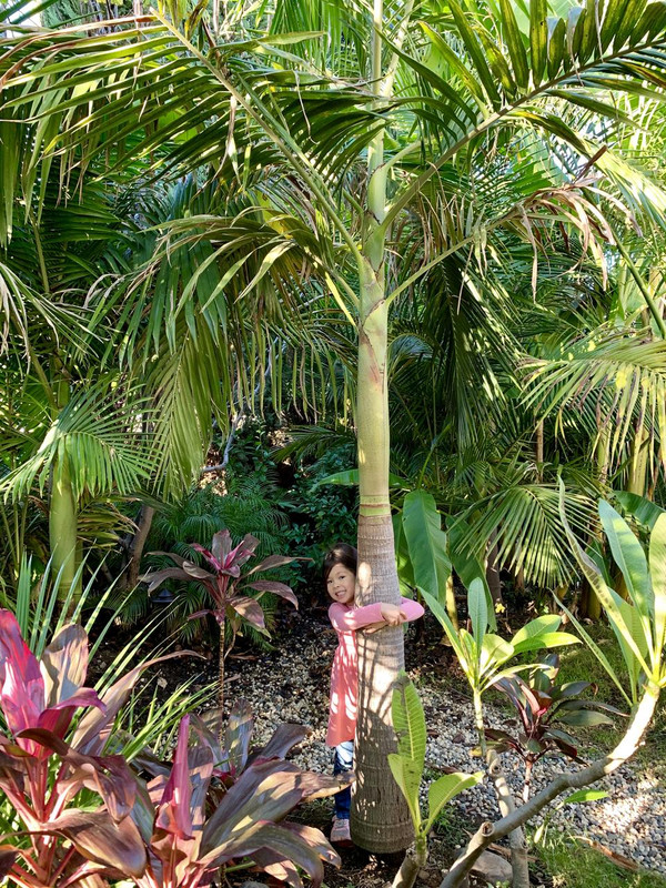 650423A1-19D3-4A38-8C95-D20971730B2F