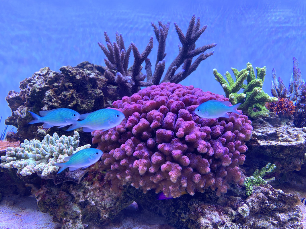 5EA6D092-C435-4799-8B1A-2197D3F5BAE5