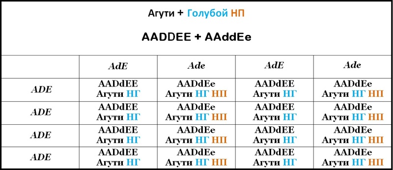 Таблица 15
