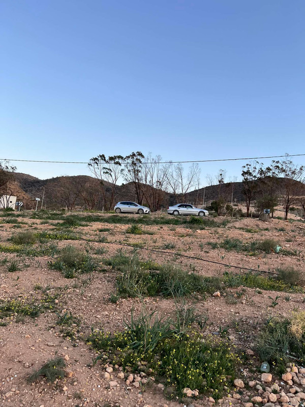 651175944-1171078608299585-1814250182362166756-n