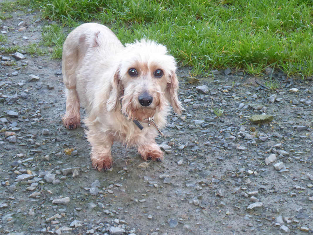 [Image: P1010863.jpg]