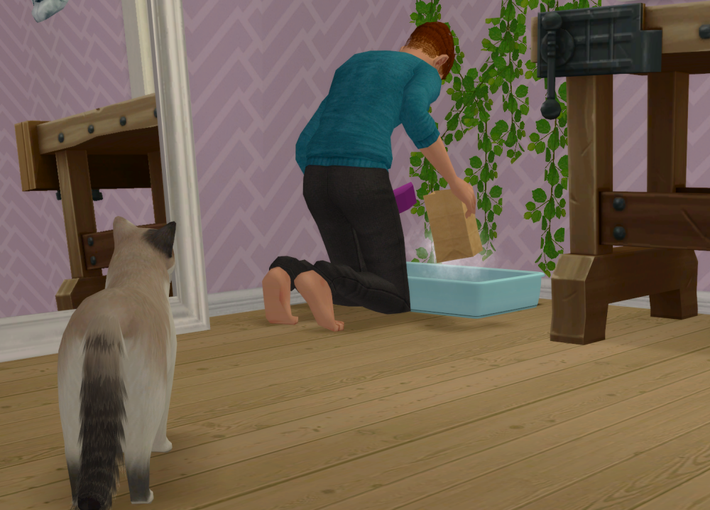 Sims2-EP9-RPC-2021-10-24-16-51-22-21