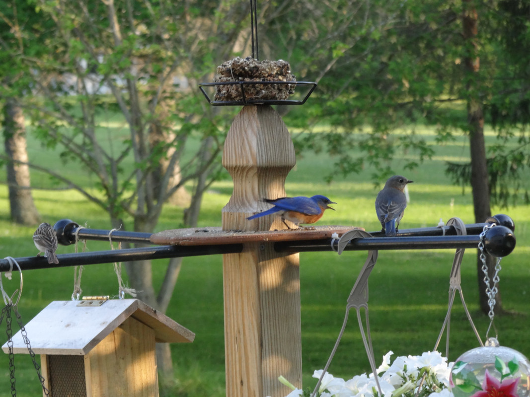 DSC03198