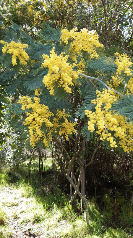 [Image: IMG-20240907-WA0002.jpg]