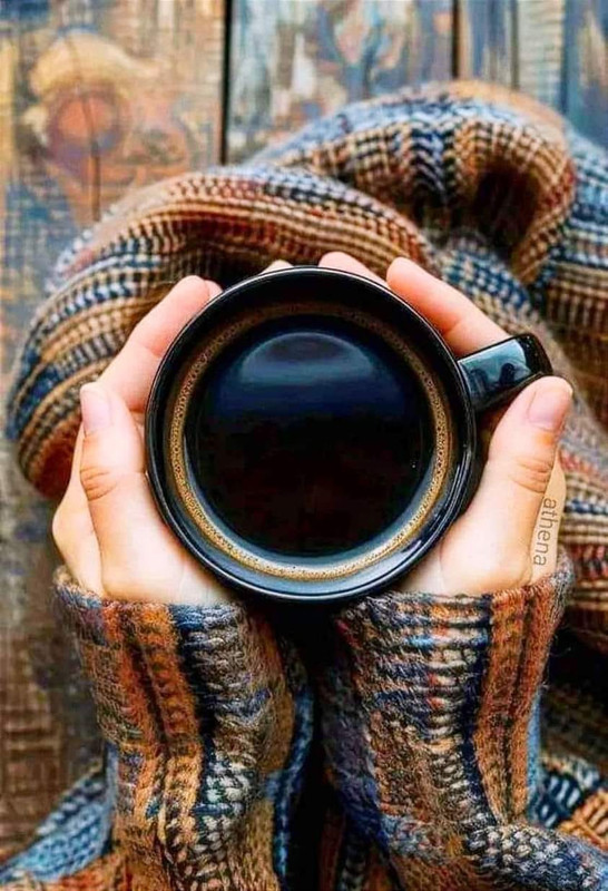 465671231 3835821120024418 5786377387851923462 n