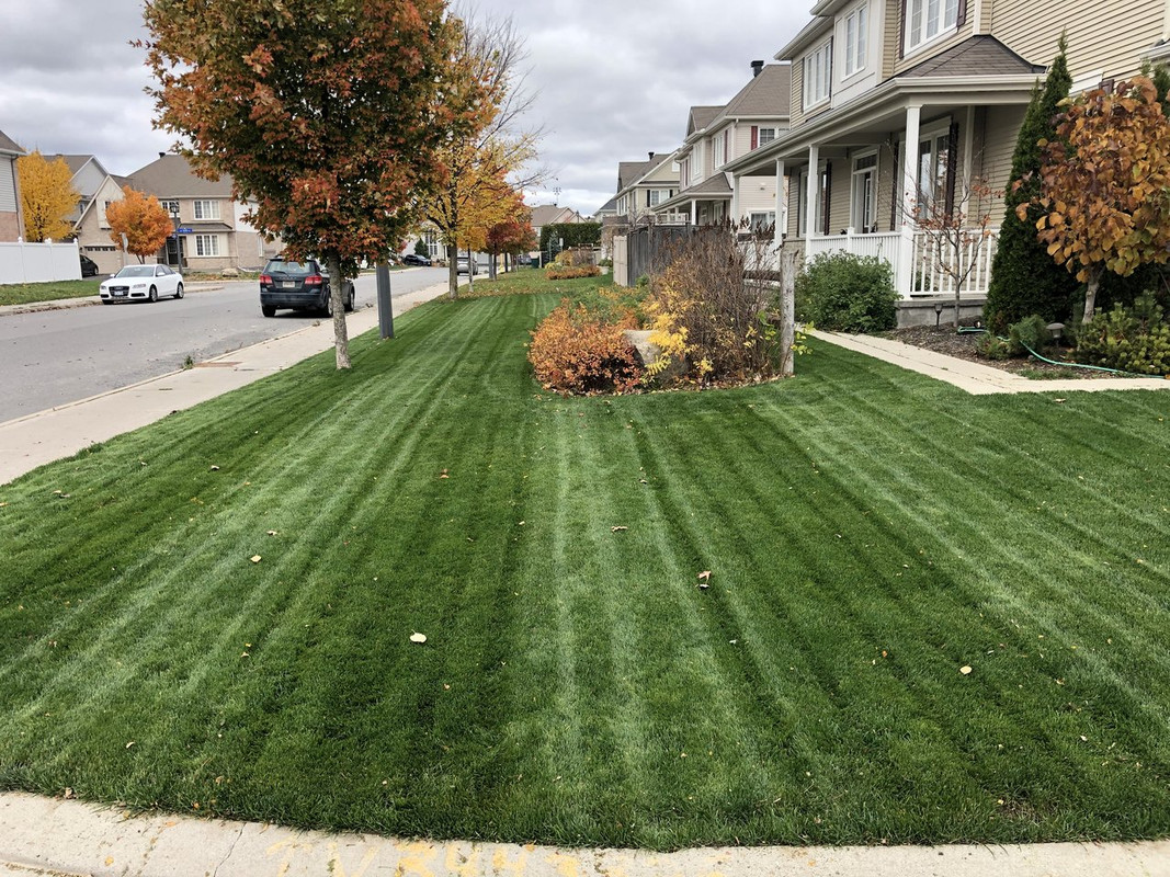 CDEF236A-41C9-4C99-B06C-7269771B6835