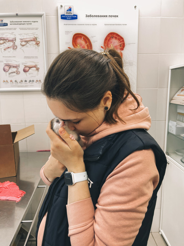 43625C87-FD46-4E31-9ECE-758254EF3676