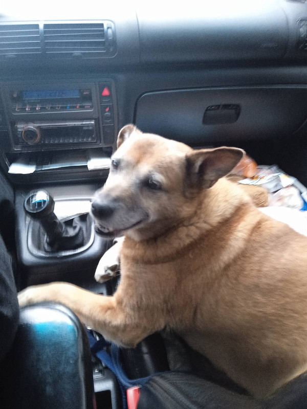 изображение_viber_2023-08-21_11-32-54-875