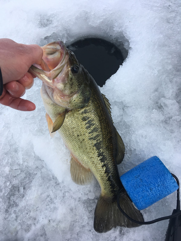 3FF4E71F-4439-4B59-BAFD-756DEE422C5D