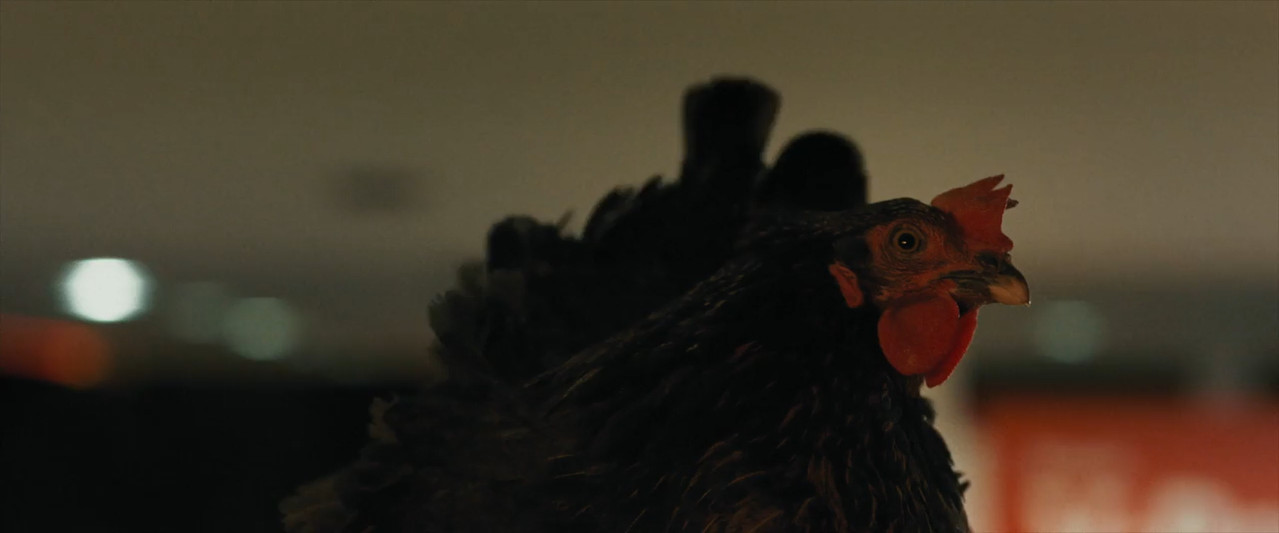 Hen 2025 WebRip [Hindi + Tamil + Telugu + English] 480p 720p ESub Screenshot