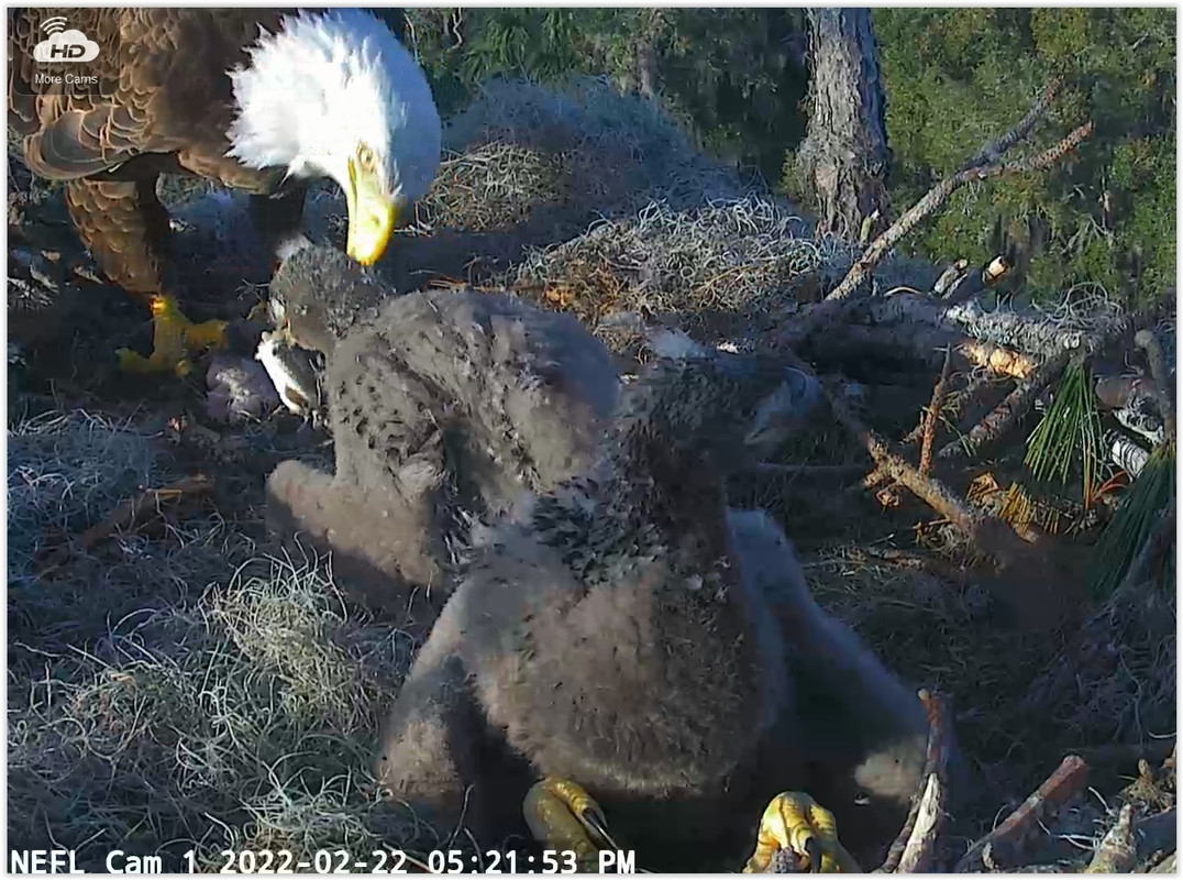 Screen Shot 02-22-22 at 11.22 PM