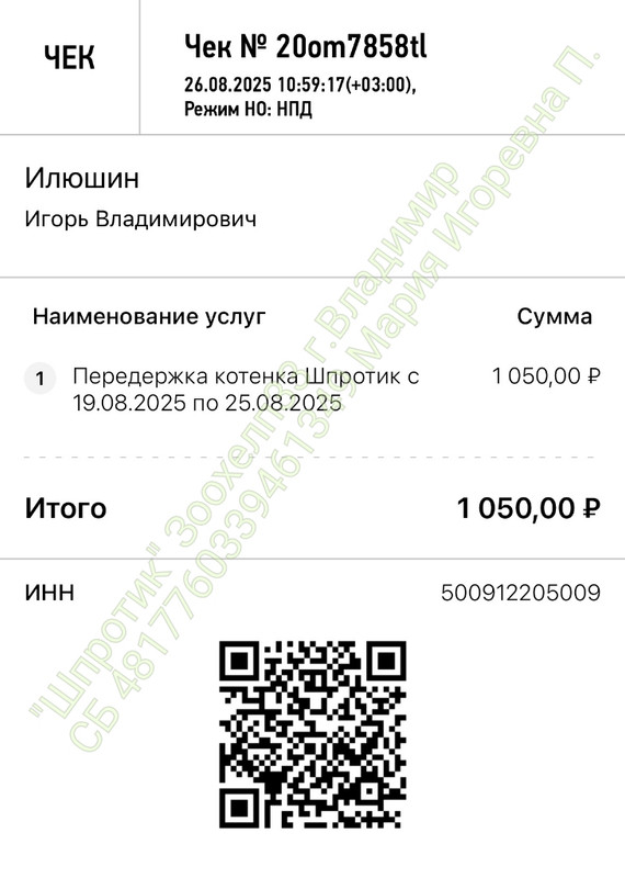 TXw63cfHLfv7kIF7pex2bcOWQyLz54Y4Rmy_N0E0V1QXIPWKG5NCBWoRXxjwtiusuh0Cx-dPzOMFL8RU03QcaK_u-1_wm