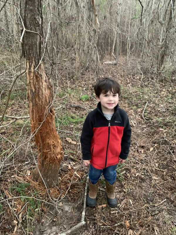 75B3798F-8786-437E-9B44-33C1E2D12E13