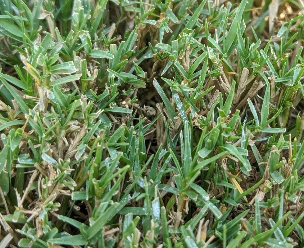 IMG_20200808_121508~3