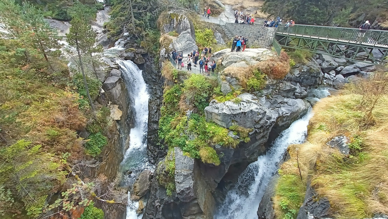 IMG20250822153745 (Large)