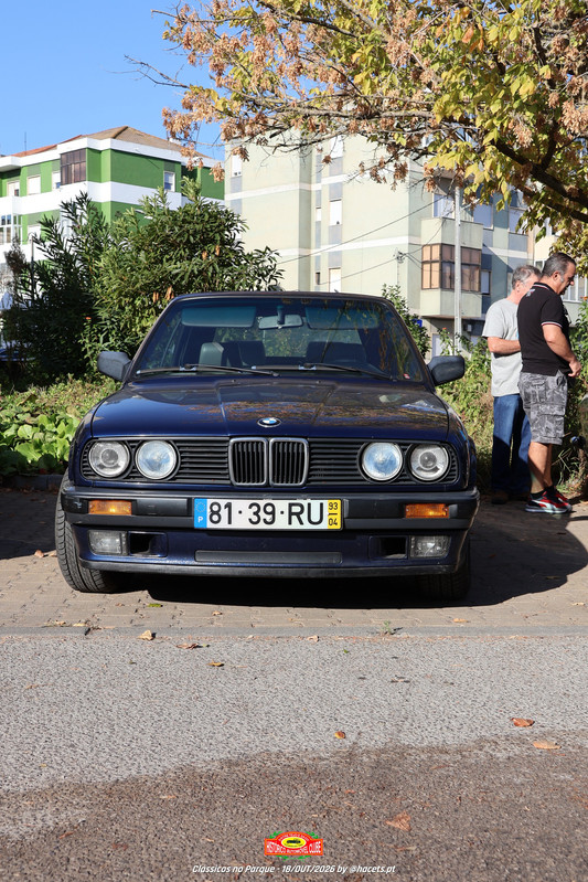 IMG 7377