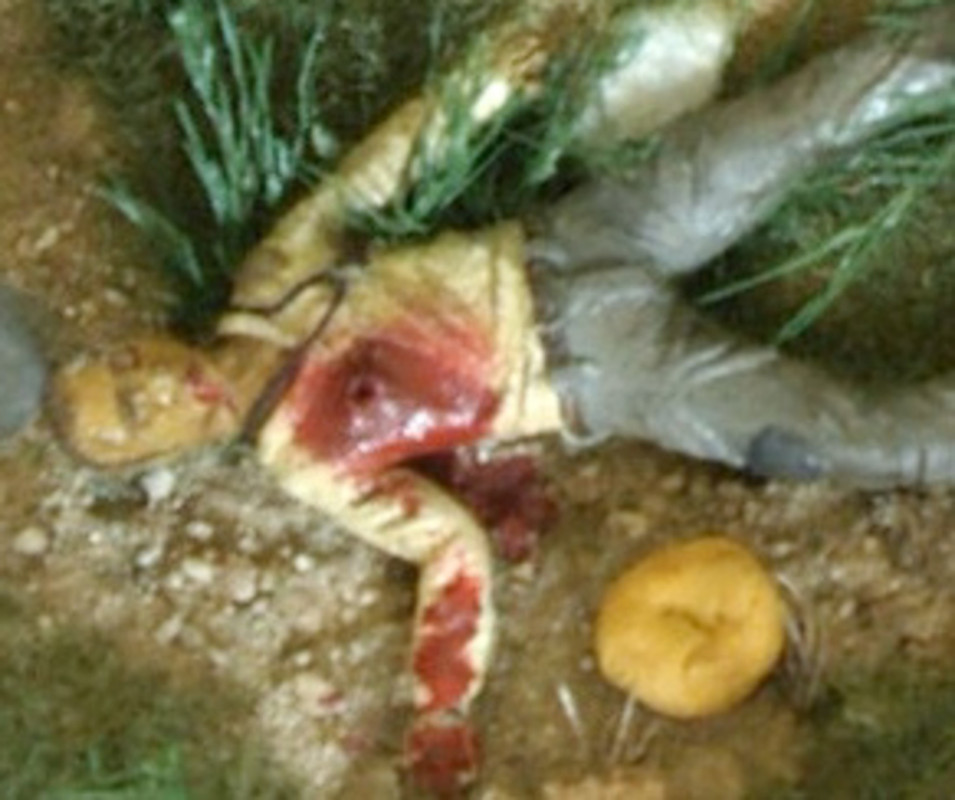 ΛΕΠΤΟΜΕΡΕΙΕΣ (2)