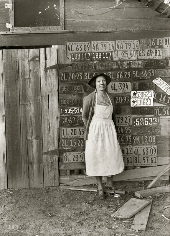 0_67139_7731ff5c_orig - копия