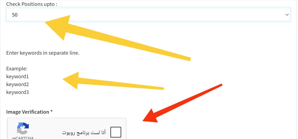 keyword Position chechker