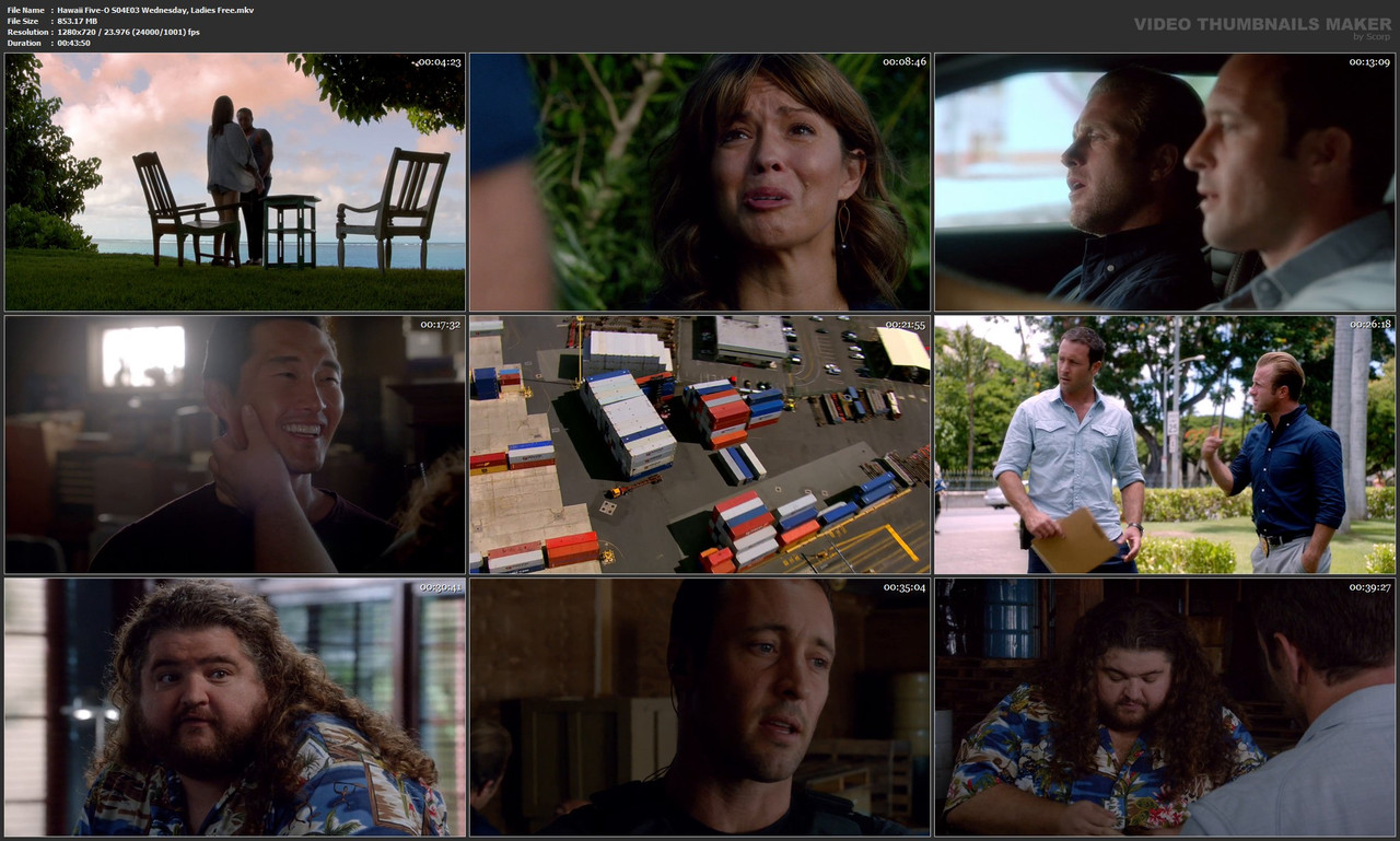 Hawaii Five-O S04E03 Wednesday, Ladies Free.mkv
