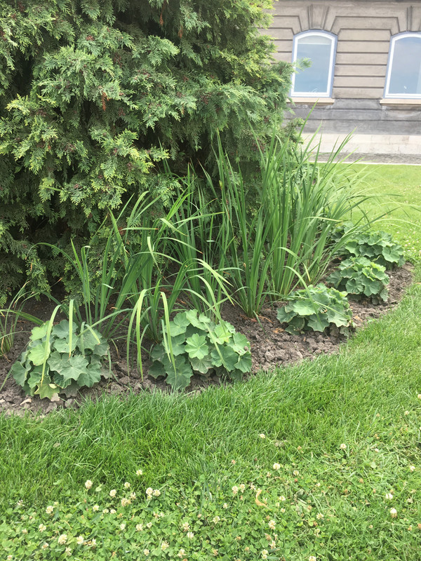 BB0FD058-7DFC-4657-96DC-6B77B7E9ECD3