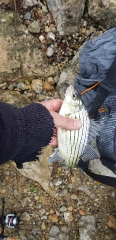 20190419_094311