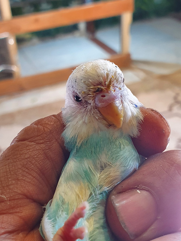 ٢٠٢٠١٢٠٧_١١٢٢٢٥