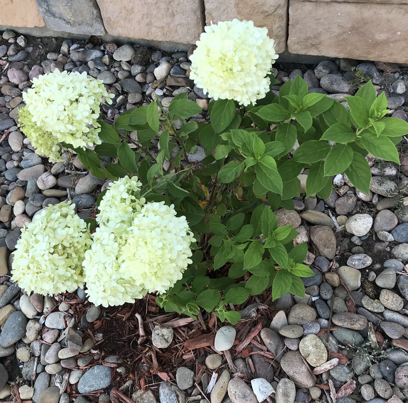 68640870-6CCF-481B-A609-2D4C531CCD8E