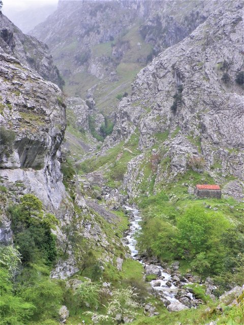 PICOS DE EUROPA-16-5-2013-LEON/ASTURIAS/CANTABRIA - Paseando por España-1991/2016 (71)