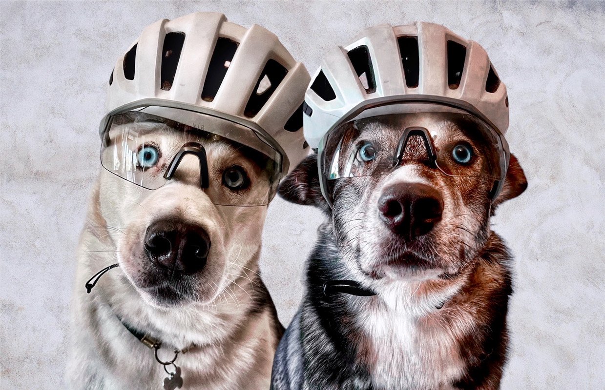 3F58BFA3-0ADD-44EA-BAE9-3F6A75032357