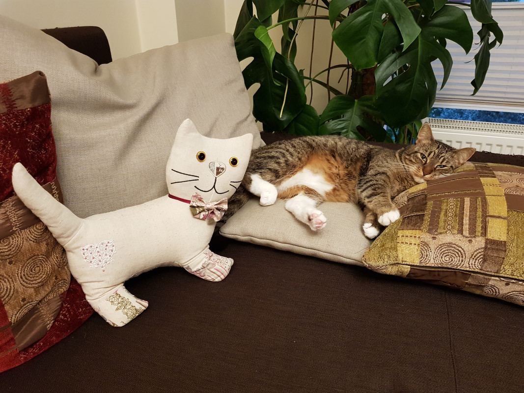 20191027-155946.jpg