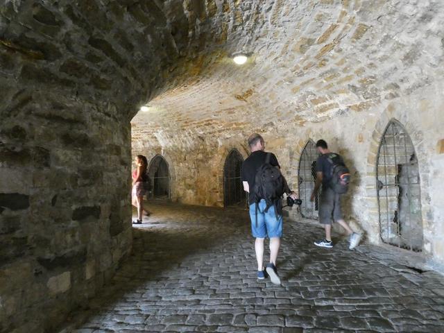 Día 7- Castillo de Hohenzollern - ALSACIA, LAGO CONSTANZA Y SELVA NEGRA - Agosto 2017 (5)