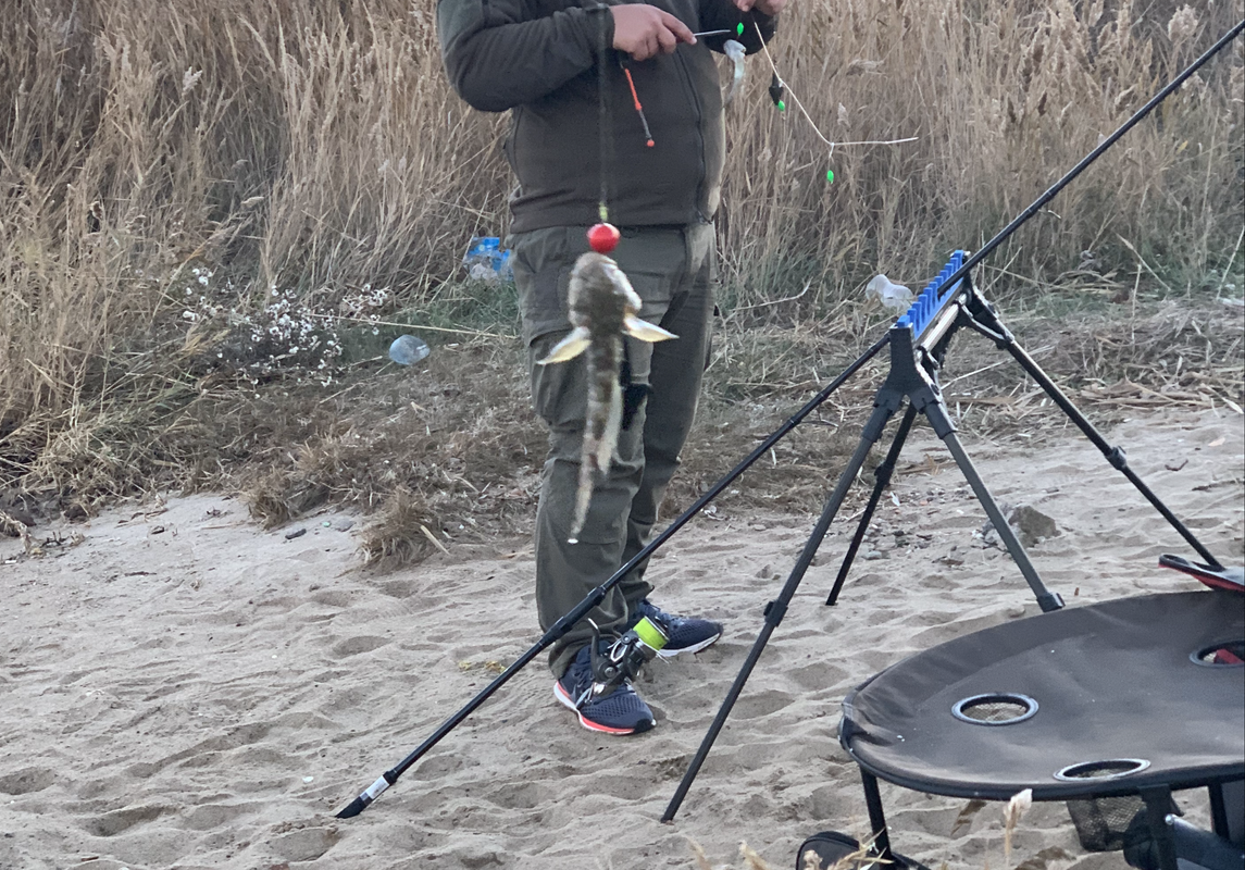 D9494EF4-8024-4B43-978C-7E9BC186419B