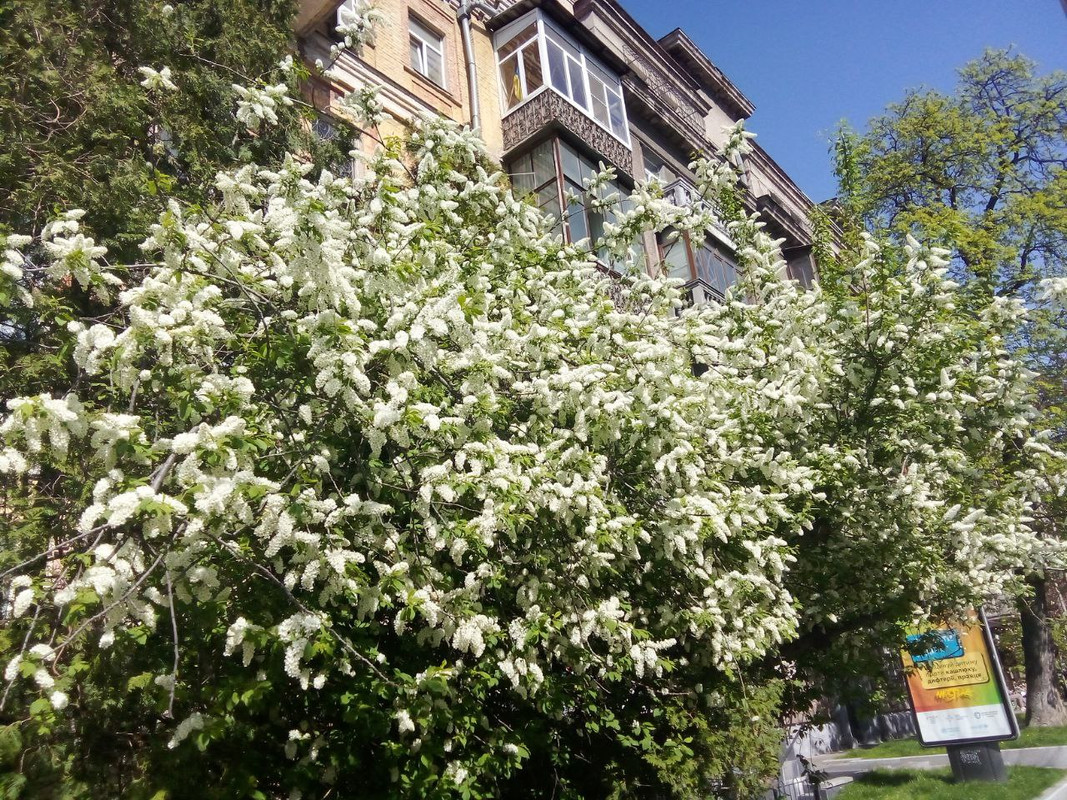 photo_2025-04-22 9.55.31 пп