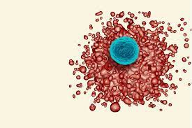 Descubren anticuerpo que frena la propagación del cáncer y previene metástasis
