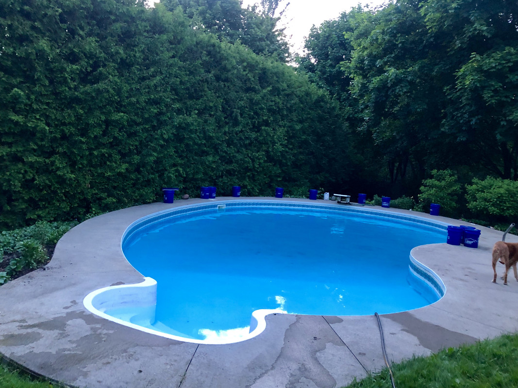 16C447F5-DC34-487F-8193-DAB67C756F0B