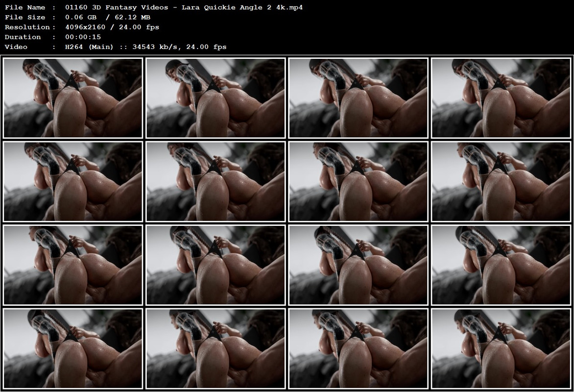01160 3D Fantasy Videos - Lara Quickie Angle 2 4k.mp4