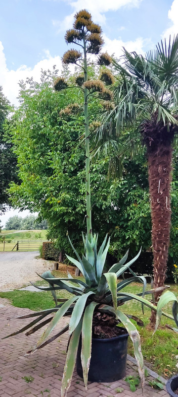 IMG_20220904_143251 (2)