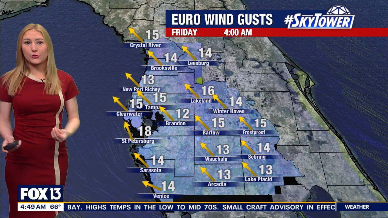 FOX13s Good Day Tampa Bay at 400am_20240322_08000830.ts_snapshot_39.17.294