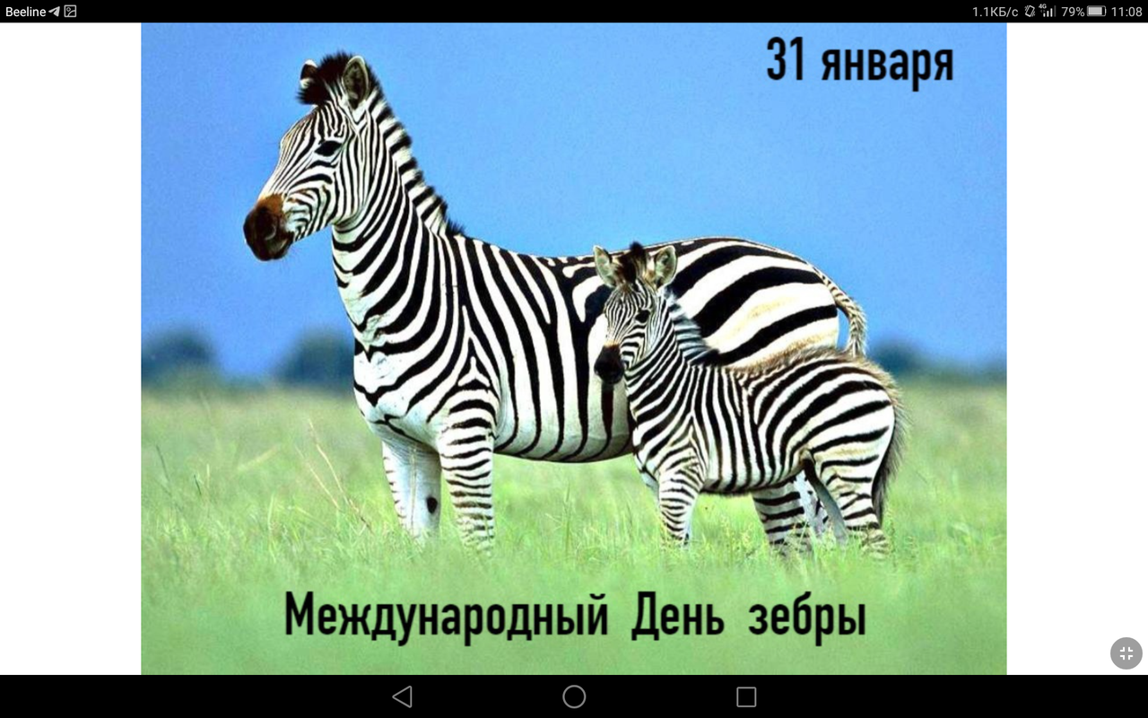 Screenshot_2023-01-31-11-08-55