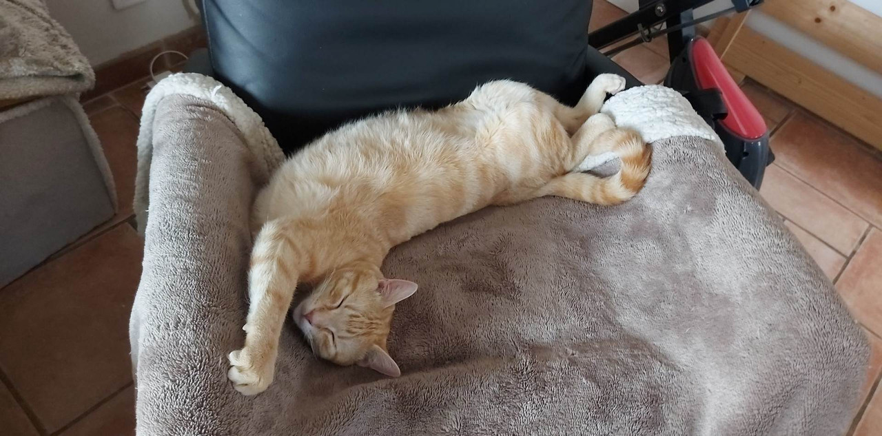 received_664684128808489