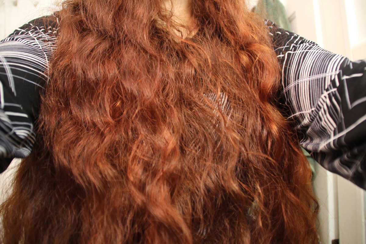 13482942_684785521662550_6132750826986486360_o