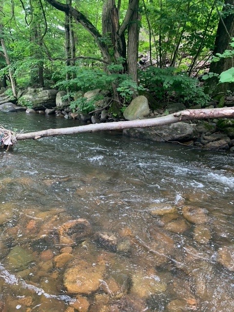 Stream - Memorial day 5-27-24