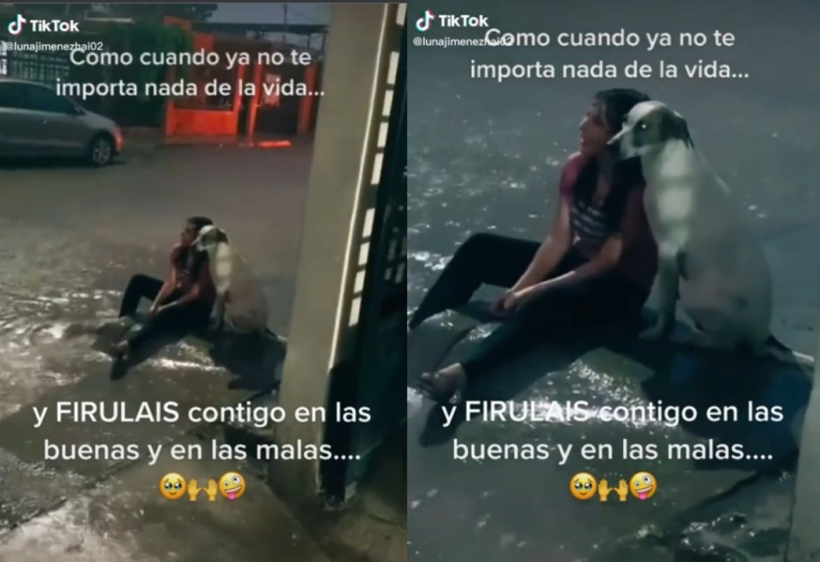 Perrito acompaña bajo la lluvia a una mujer que llora amargamente
