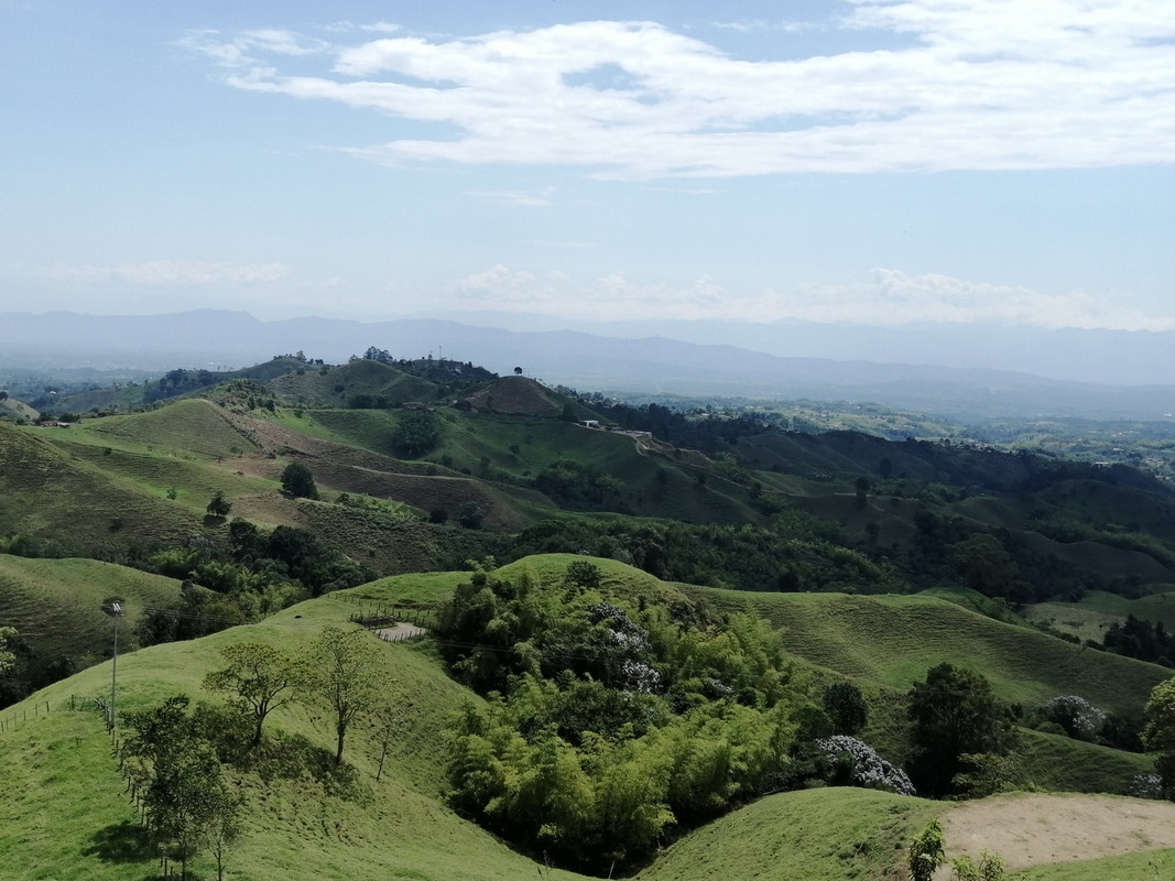Colombia por libre en 18 días - Blogs de Colombia - Eje Cafetero: Armenia, Circasia, Filandia y Salento (16)